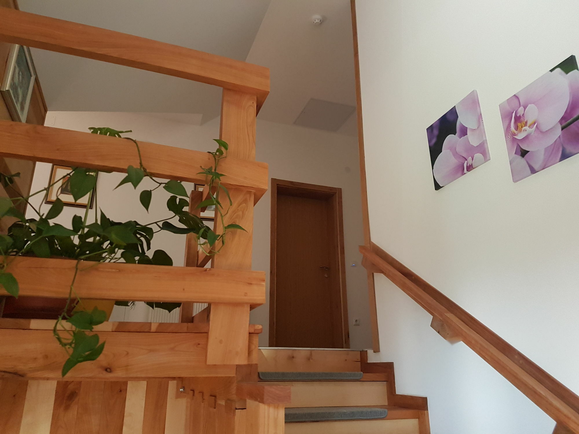 Villa Stone Rakovica Exteriör bild